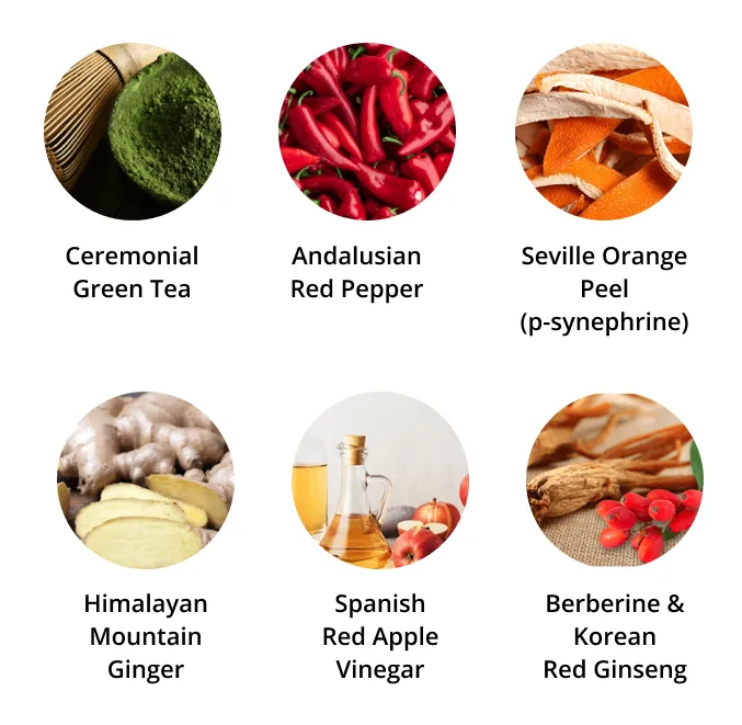 Powerful Ingredients of CitrusBurn