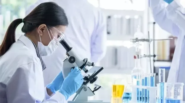 (What Does The Science Say About CitrusBurn?)