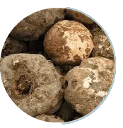 Konjac Fiber (Glucomannan)