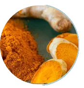 Turmeric Extract