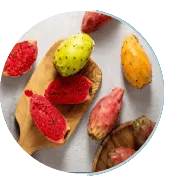 Prickly Pear Extract