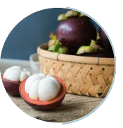 Mangosteen Powder